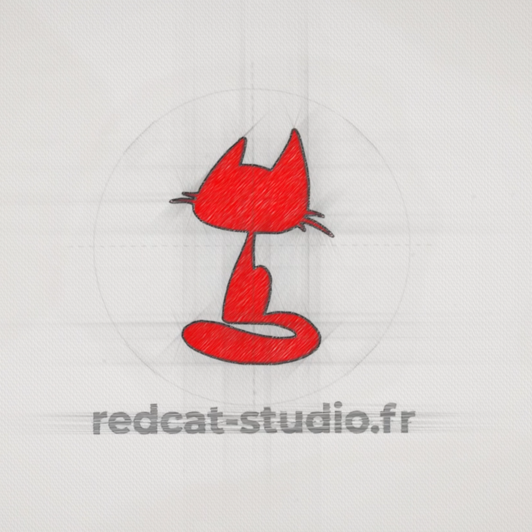 Redcat Studio - Agence de communication digitale